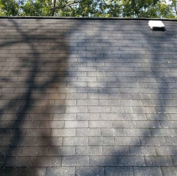 Roof Cleaning in Rehoboth Beach, Delaware