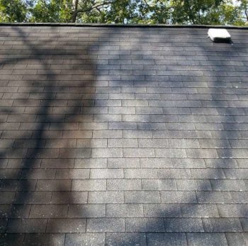 Roof Cleaning in Rehoboth Beach, Delaware