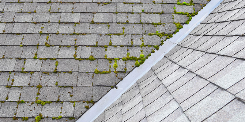 Is Your Roof Looking Lackluster? Try Roof Washing