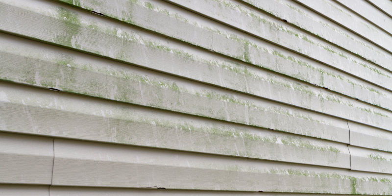 Siding Cleaning 