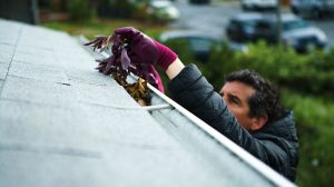 How Gutter Cleaning Saves Money