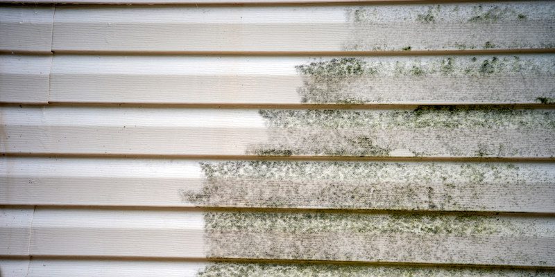 Soft Washing vs. Pressure Washing: Which is Better for Your Home?