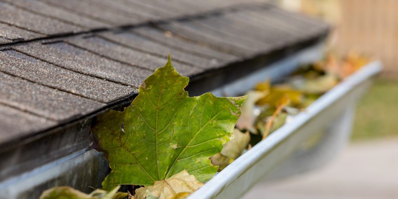 Six Reasons to Schedule Gutter Cleaning This Winter